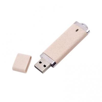 Image of Eco USB Flash Drive